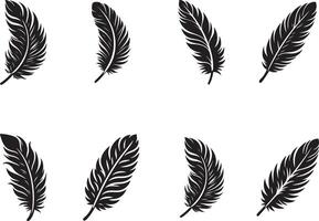 Feather set illustration sketch vector