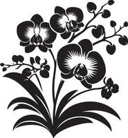 negro silueta de orquídea flores vector