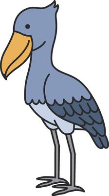 Shoebill stork illustration