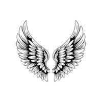Sketch angel wings. Angel feather wing. vector