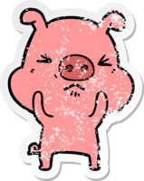 distressed sticker of a cartoon angry pig png