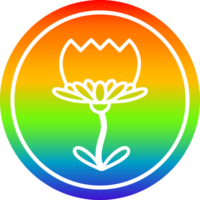 loto flor circular icono con arco iris degradado terminar png