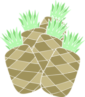 flat color illustration of pineapples png