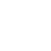 a white bird png