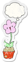 cute cartoon flower with thought bubble as a distressed worn sticker png