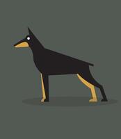 Doberman dog standing black and orange. tall strong dog. vector