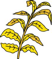 hand drawn quirky cartoon corn leaves png