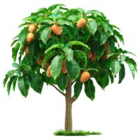 Nurturing Your Fruit Tree Garden png