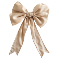 Sapphire Satin Bow Accessory png