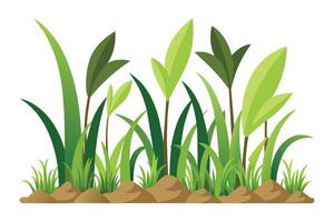 High tropics grass meadow flora growth row, flat illustration vector