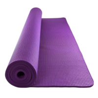 abordable yoga tapis pour débutants png
