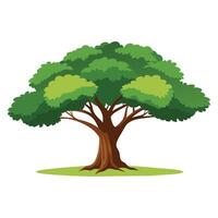 Big tree standing growth, flat illustration. vector