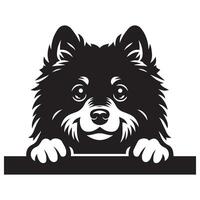 perro echar un vistazo - finlandés perro de Pomerania perro echar un vistazo cara ilustración en negro y blanco vector