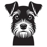 A Fearful Standard Schnauzer face illustration in black and white vector