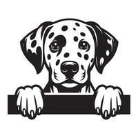 Dog Peeking - Dalmatian Dog Peeking face illustration in black and white vector