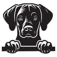 Dog Peeking - Rhodesian Ridgeback Dog Peeking face illustration in black and white vector