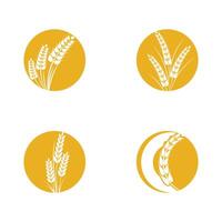 Agriculture wheat logo template and symbol vector