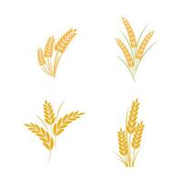 Agriculture wheat logo template and symbol vector