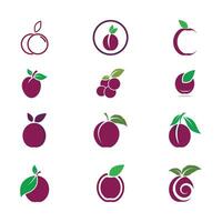 Plum logo template and symbol vector