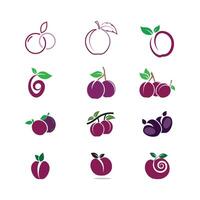 Plum logo template and symbol vector