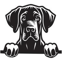 Dog Peeking - Great Dane Dog Peeking face illustration in black and white vector