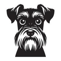 illustration of a Anxious Schnauzer dog face in black and white vector