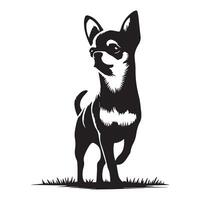 explorador chihuahua en ciudad ilustración en negro y blanco vector