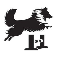 Shetland perro pastor - un sheltie saltando formación ilustración en negro y blanco vector