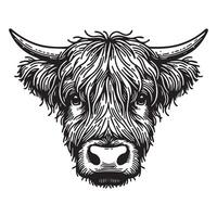 Highland cattle - A sad Highland Cow face illustration in black and white vector