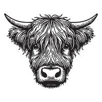 Highland cattle - A sad Highland Cow face illustration in black and white vector