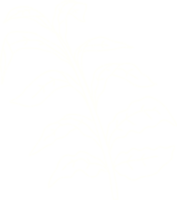 desenho de giz de planta selvagem png