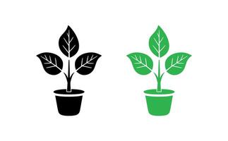 Indoor plant icon on white background. illustration in trendy flat style vector