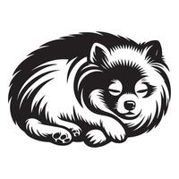 illustration of A Pomeranian Dog sleepy in black and white vector