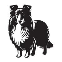 A Protective Sheltie illustration in Black and white vector