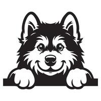 Dog Peeking - Alaskan Malamute Dog Peeking face illustration in black and white vector