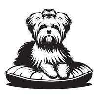 Regal Maltese on Plush Cushion illustration in black and white vector