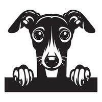 Dog Peeking - Italian Greyhound Dog Peeking face illustration in black and white vector