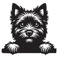 Dog Peeking - Norwich Terrier Dog Peeking face illustration in black and white vector