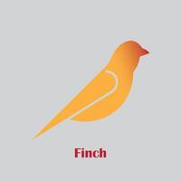 finch bird logo design vector