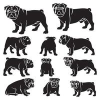 set of bulldog walking silhouette ,background white vector