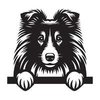 Dog Peeking - Shetland Sheepdog Dog Peeking face illustration in black and white vector