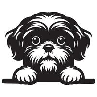 illustration of a Shih Tzu Dog Peeking face in black and white vector