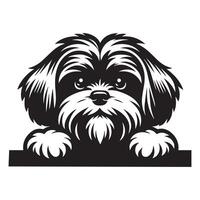 Dog Peeking - Lhasa Apso Dog Peeking face illustration in black and white vector