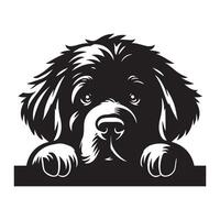 perro echar un vistazo - Terranova perro echar un vistazo cara ilustración en negro y blanco vector