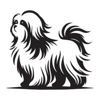 Elegant Maltese with Flowing Hair illustration in black and white vector