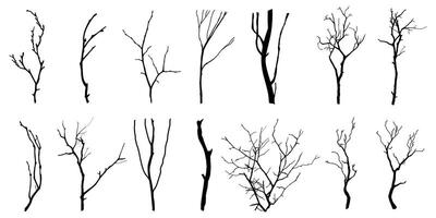 Black Branch Tree or Naked trees silhouettes. Hand drawn isolated illustrations. vector