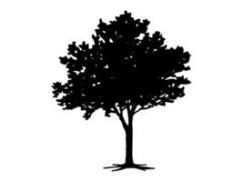 Black Branch Tree or Naked trees silhouettes. Hand drawn isolated illustrations. vector