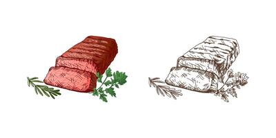 Organic food. Hand-drawn colored and monochrome sketches of grilled beef steak, piece of meat with rosemary and parsley. Vintage illustration. Decorations for menu of cafes and labels. Engraved image. vector