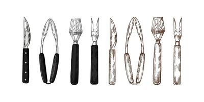 A set of colored and monochrome hand-drawn sketches of barbecue tools. Detailed retro style grill tools. Doodle vintage illustration. Engraved image. vector