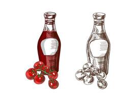 Hand-drawn colored and monochrome sketches of ketchup or sauce in a glass jar and tomato branch. For the design of the menu of restaurants and cafes, grilled food. vector